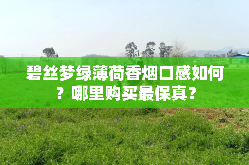 碧丝梦绿薄荷香烟口感如何？哪里购买最保真？